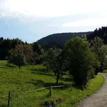 Ferienwohnung Am Moosbachle Apartman *